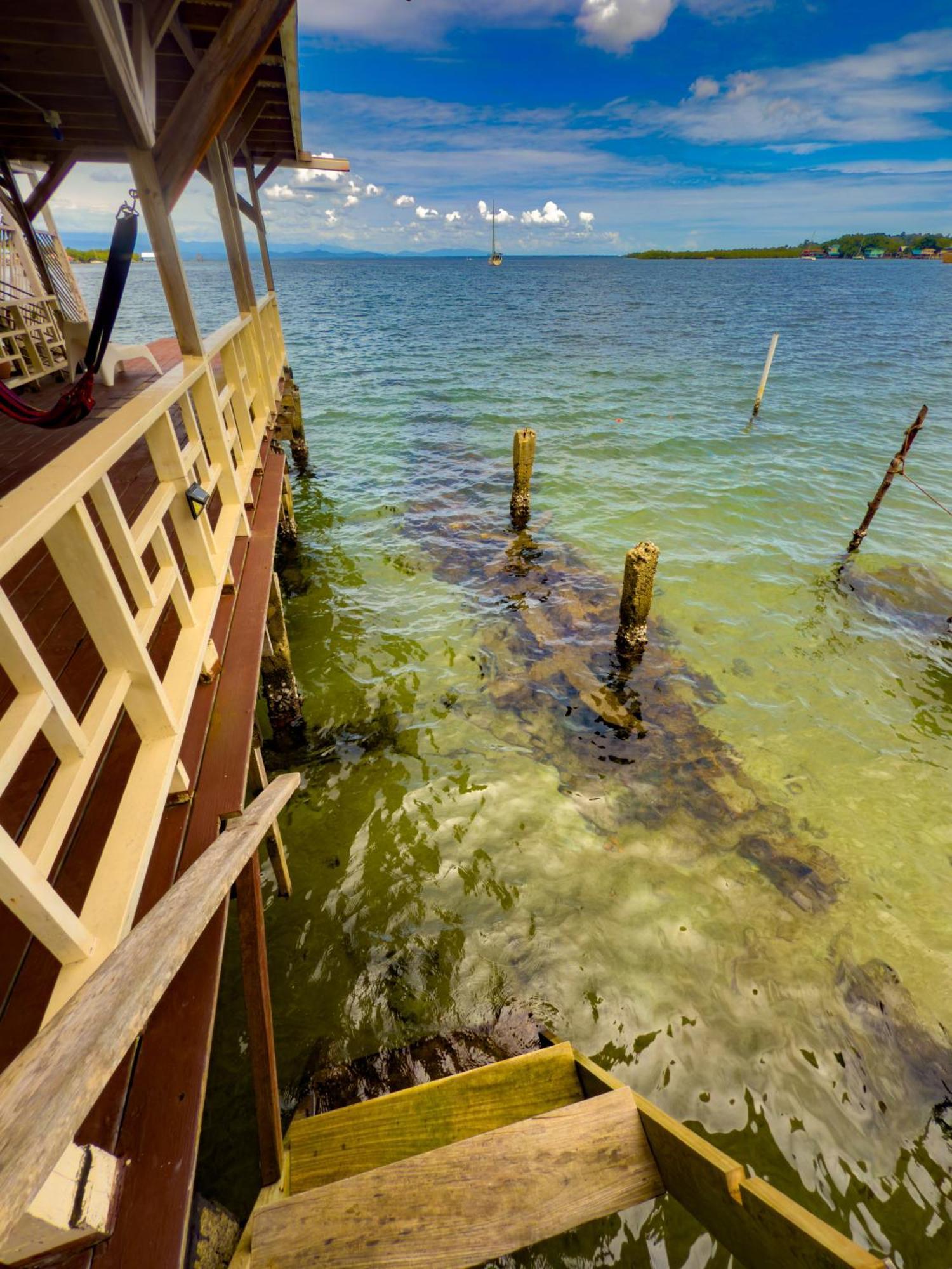 Saigon Bay Bed & Breakfast Bocas del Toro Zimmer foto